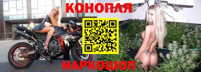 эйфоретик Кингисепп