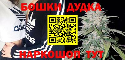 эйфоретик Кингисепп
