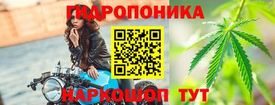 эйфоретик Кингисепп